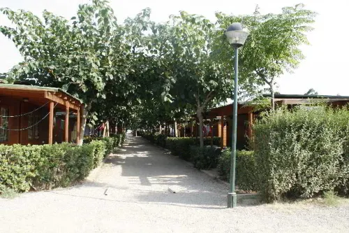 Camping Playa y Fiesta Hotel a Vandellos i l'Hospitalet de l'Infant