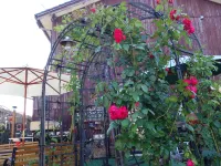 Natural Mind Tour Hotels in Sado