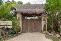 Unique Jungle Dome Ik