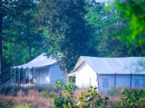 Umaria Safari Camp -Kanha National Park Hotels in Mandla