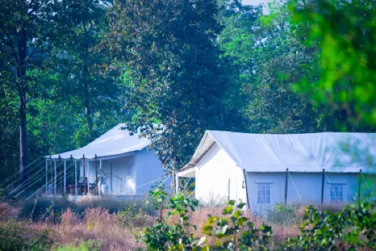 Umaria Safari Camp -Kanha National Park