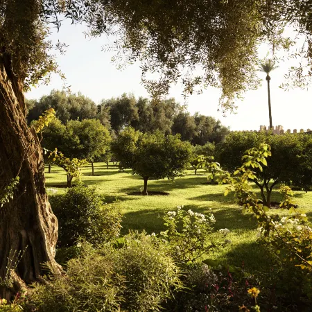 La Mamounia Marrakech