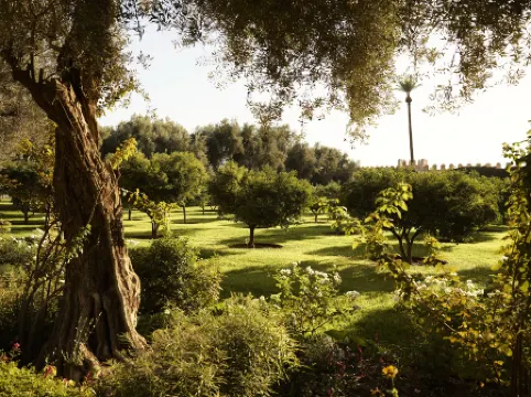 La Mamounia Marrakech