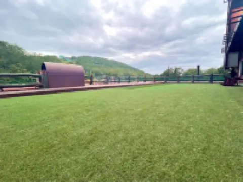 Forest Inn Sangoro Hotels in 