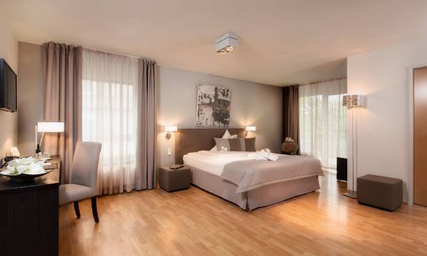 Art Hotel Superior