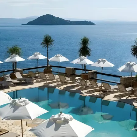 Il Pellicano