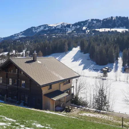 Chalet Ahorni