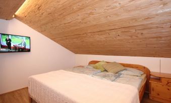 Cozy Apartment in Schruns Vorarlberg Near Ski Area Montafon