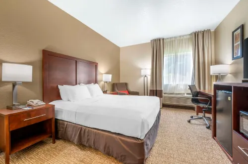 Comfort Inn Fremont - WiFi