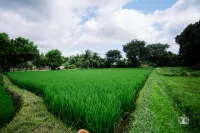 Waterfall Guesthouse Hotels in Kamalapur
