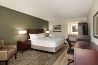 마이 하나 호텔, 인터내셔널 드라이브, 트레이드마크 컬렉션 바이 윈덤 올란도 호텔