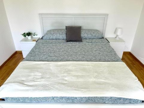 Central & Renovated Apartment