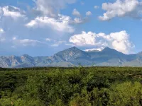 Serenity in Sunny Arizona with tons of birds and shade trees!  Bike Trail Galore