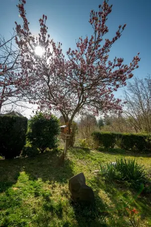 Apartment Oasis - Gemütliche Wohnung mit Garten