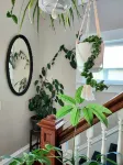 Billiken Inn, Private Loft in 2 Story Victorian