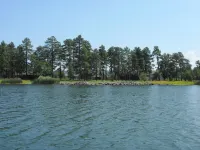 NEW!  4 Acre Lakefront Cabin in the Tall Pines
