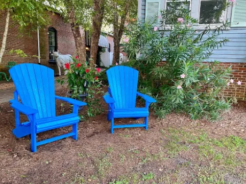 BEST location in Historic Downtown Edenton!