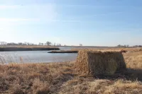 Crane and Nature Lovers Dream - Perfect for Crane Viewing!