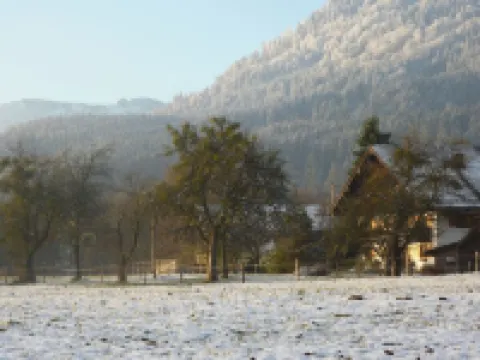 Newly renovated apartment Heissbauer Obstgarten! Wonderful mountain view, central ヴァッカースベルクのホテル