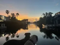 Pool, tiki hut, easy ocean access canal, dock, prime location 30m to Key West - WiFi