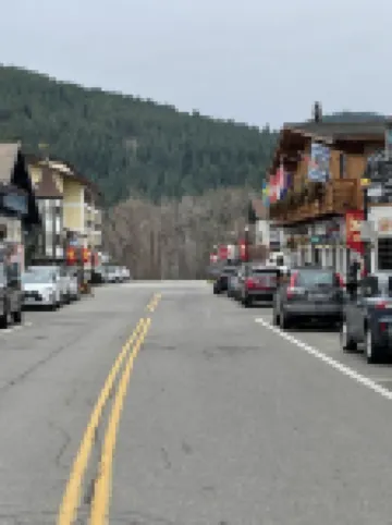 Alpine View Haus on Main - Bavarian Themed Condo