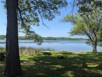 Reeds On Bar Lake