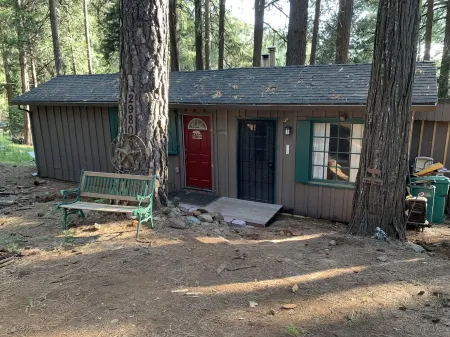 The Little Cabin in the Pines!