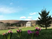Modern Copake Falls Getaway Hotels in Copake
