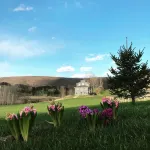 Modern Copake Falls Getaway