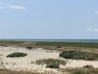 The perfect Corn Hill Beach House Hotels in Truro