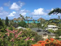 Viewhouse in Lanikai  BEST LOCATION ,  LANIKAI NUC 90/BB -0108
