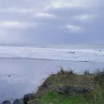 Warm Cottage w/ hot tub - across from the ocean and Damon Point