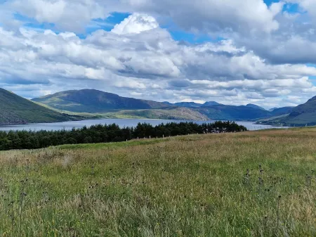 Gorse Gorgeous Glamping Hideaway