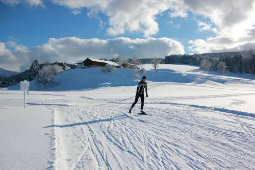 Vacation home in a peaceful southern location and a lot of recreational options Hotels in Siegsdorf