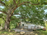 Completely remodeled 1940's farmhouse with Gorgeous pond views!!