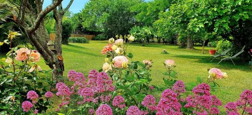 Escale Cosy et Bucolique à Proximité de Saintes