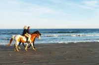 STUNNING BEACHFRONT UPPER VILLA,Electric Awning over Deck,Amenity Cards INCLUDED