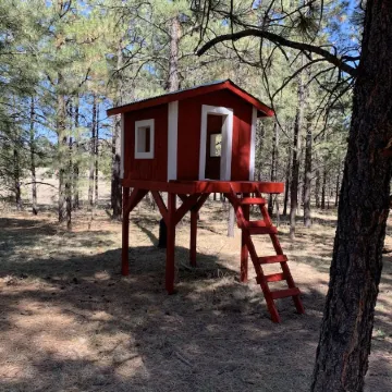 FAMILY SIZE CABIN IN THE PINES