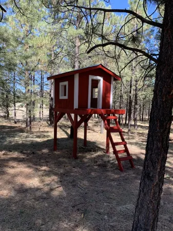 FAMILY SIZE CABIN IN THE PINES Отели в г. Апачи