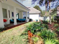 Million dollar villa · Beachfront neighborhood · Free cruise · Resort amenities