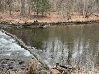 Bearly Awake cabin- family-friendly, riverfront & minutes from East Branch Lake.