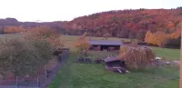 Grandma Lina house - quiet, lots of space & infrared cabin Hotels in Greifenstein