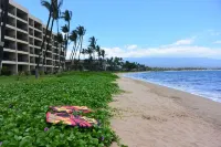 Beautiful Oceanview Condo with Spectacular Sunsets! - Recently Renovated