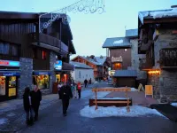 Les Mélèzes - Very beautiful Chalet 200m from the slopes of La Plagne - 12-15 pers.
