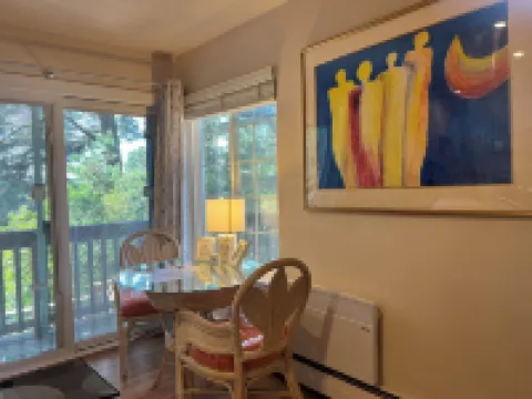 Treetop Refuge in Oakland Hills