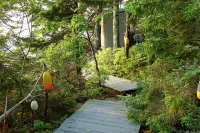 Unique ISLAND Living off the grid -Waterfront cottage