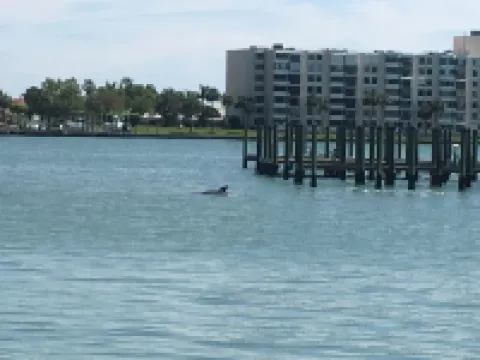 Cozy 1 bedroom on the water!Apt2