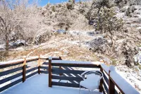 Historic Renovated Home Steps to dwtn & Hot Springs Pools, large deck, firepit