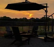 Horse Lodging! Private Guesthouse + Vintage Airstream - Covered Stalls/ Turnouts