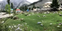 Hotel Deep Forest